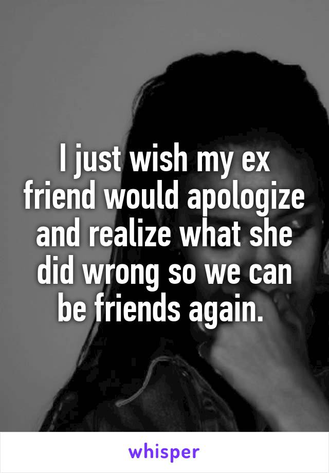 I just wish my ex friend would apologize and realize what she did wrong so we can be friends again. 