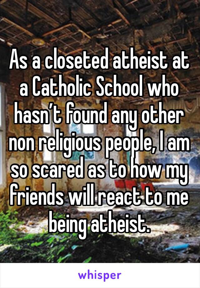 As a closeted atheist at a Catholic School who hasn’t found any other non religious people, I am so scared as to how my friends will react to me being atheist.