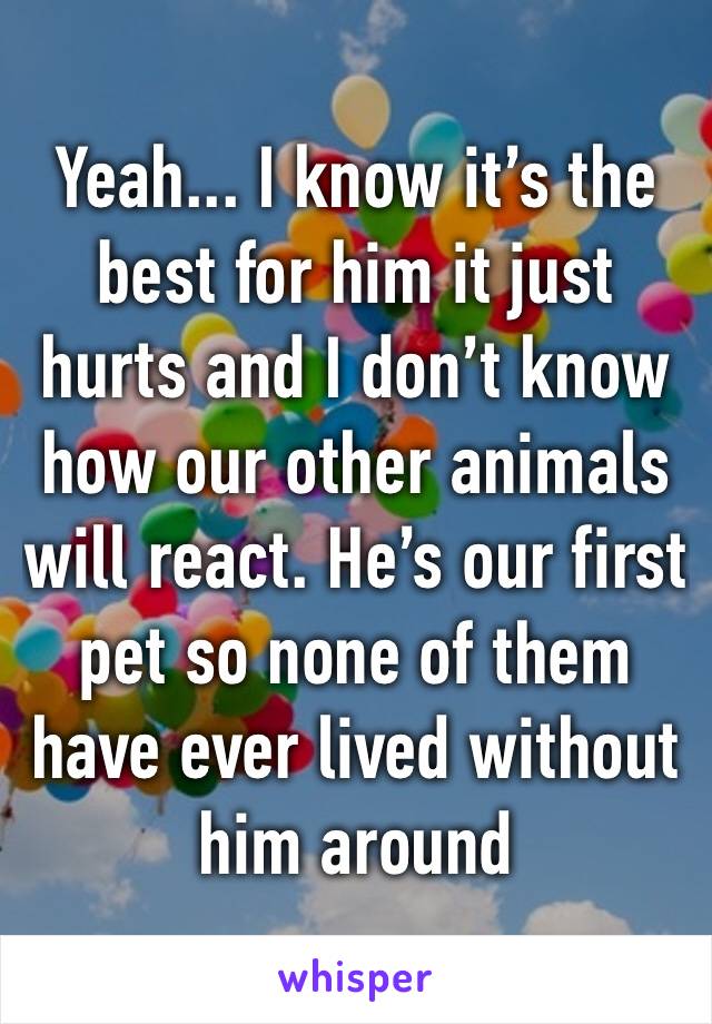 Yeah... I know it’s the best for him it just hurts and I don’t know how our other animals will react. He’s our first pet so none of them have ever lived without him around