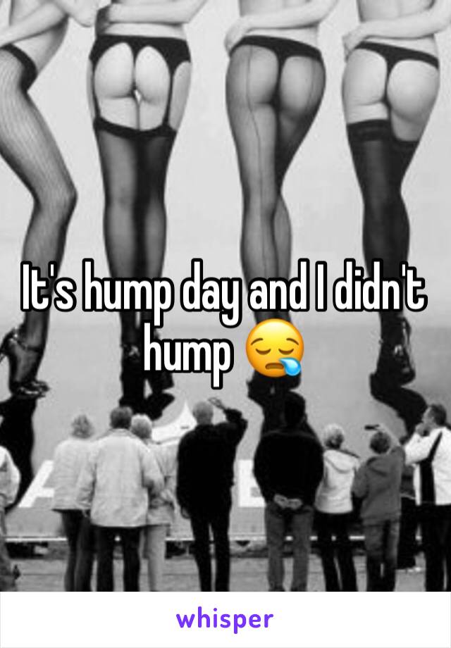 It's hump day and I didn't hump 😪