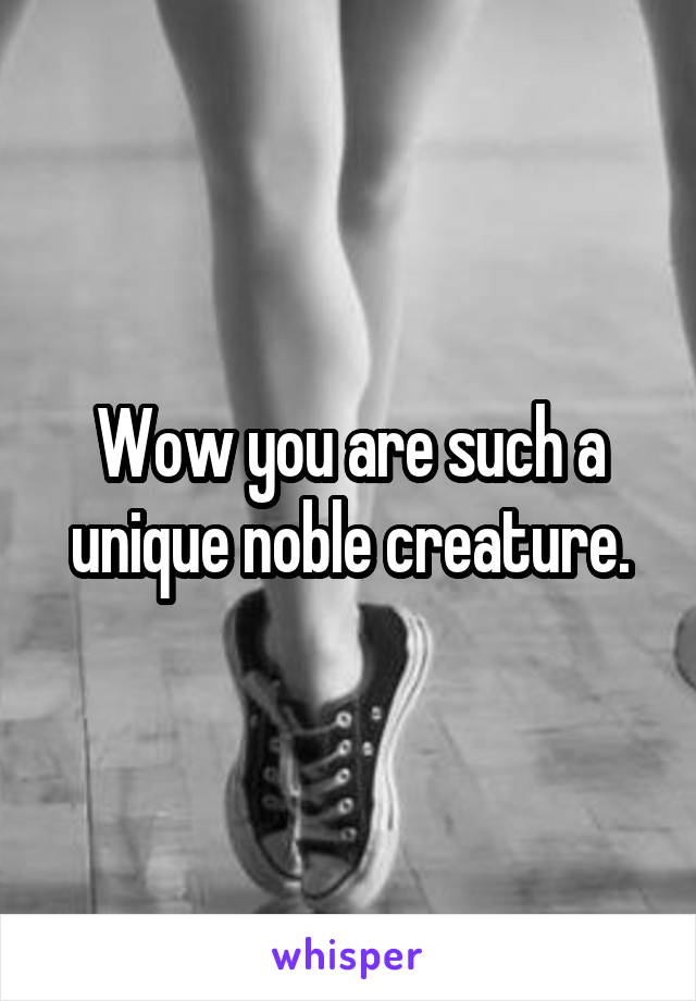 Wow you are such a unique noble creature.