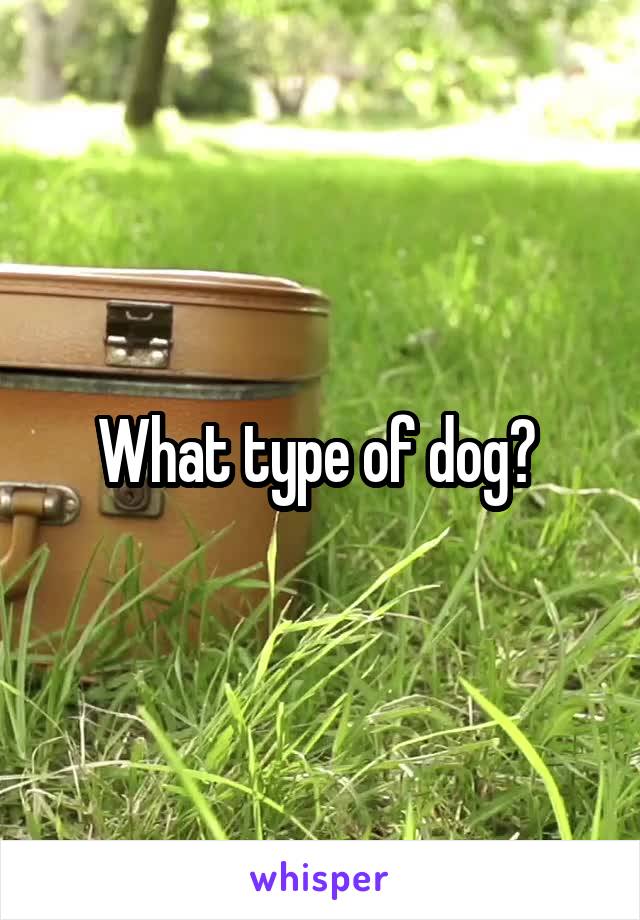 What type of dog? 