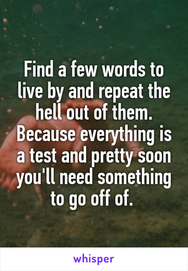 Find a few words to live by and repeat the hell out of them. Because everything is a test and pretty soon you'll need something to go off of. 