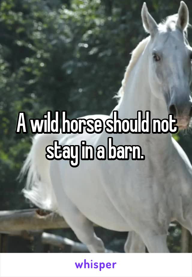 A wild horse should not stay in a barn. 