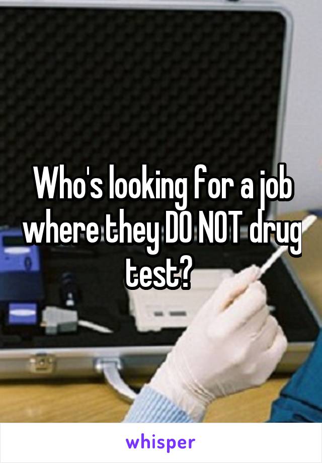 Who's looking for a job where they DO NOT drug test? 