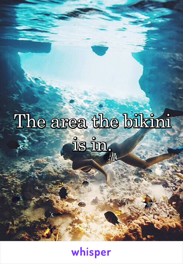 The area the bikini is in.