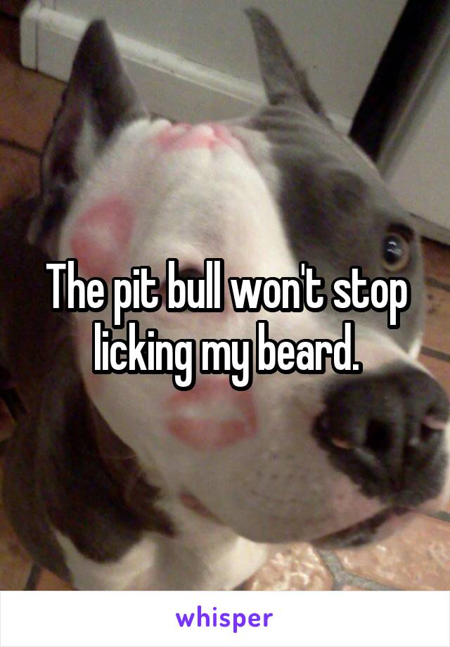 The pit bull won't stop licking my beard.