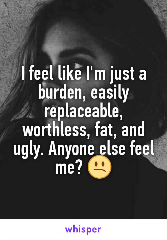 I feel like I'm just a burden, easily replaceable, worthless, fat, and ugly. Anyone else feel me? 😕