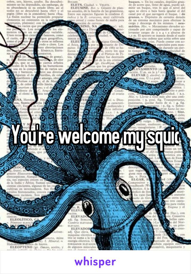 You're welcome my squid
