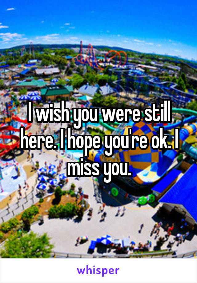I wish you were still here. I hope you're ok. I miss you.