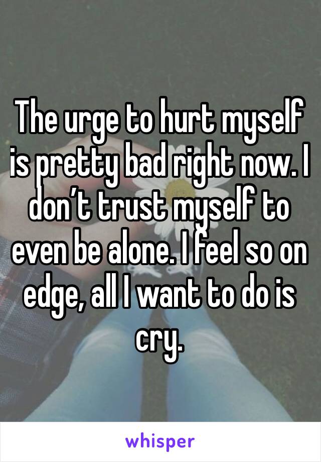 The urge to hurt myself is pretty bad right now. I don’t trust myself to even be alone. I feel so on edge, all I want to do is cry.  