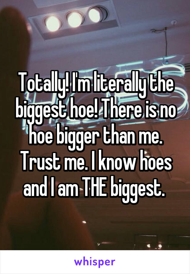 Totally! I'm literally the biggest hoe! There is no hoe bigger than me. Trust me. I know hoes and I am THE biggest. 