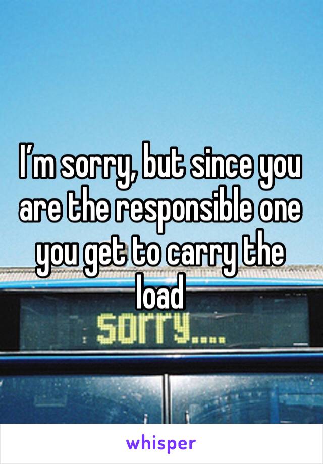 I’m sorry, but since you are the responsible one you get to carry the load