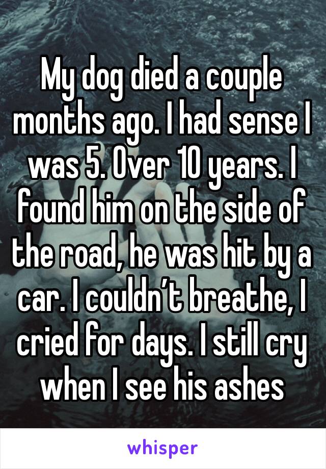 My dog died a couple months ago. I had sense I was 5. Over 10 years. I found him on the side of the road, he was hit by a car. I couldn’t breathe, I cried for days. I still cry when I see his ashes
