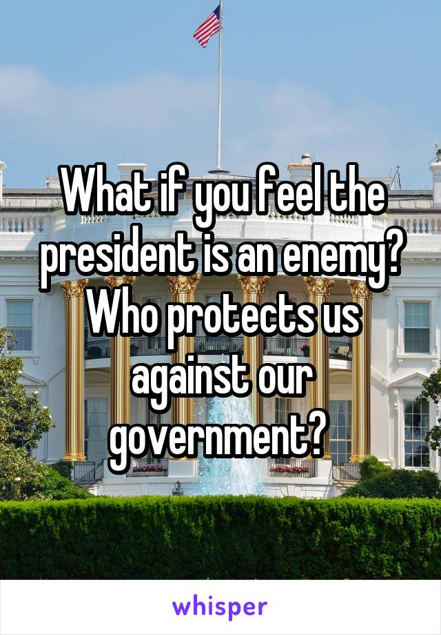 What if you feel the president is an enemy? Who protects us against our government? 