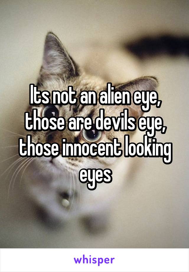 Its not an alien eye, those are devils eye, those innocent looking eyes