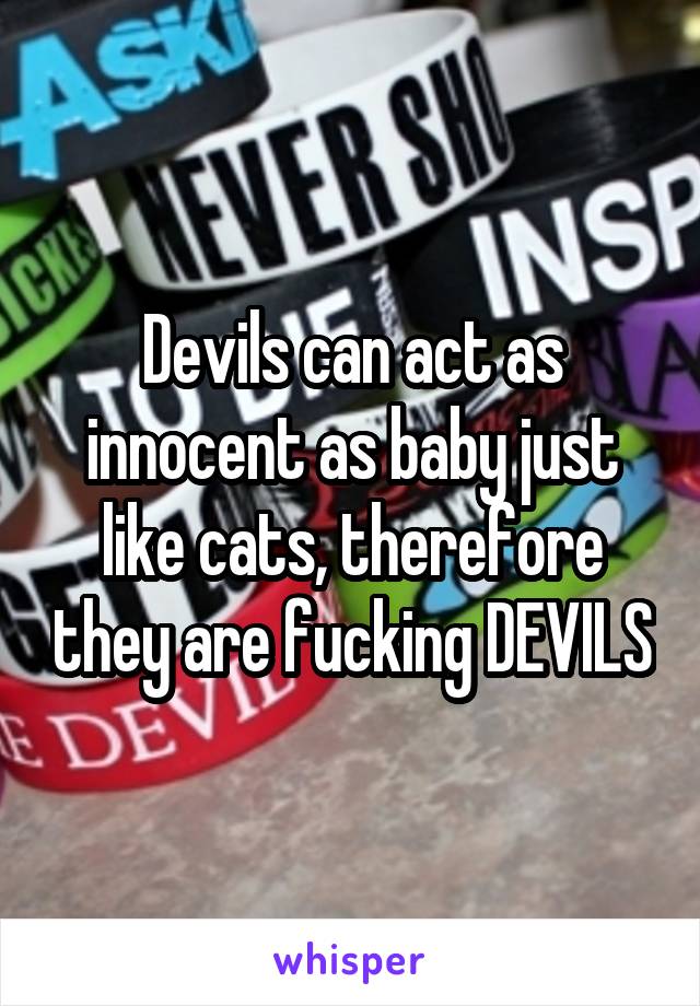 Devils can act as innocent as baby just like cats, therefore they are fucking DEVILS