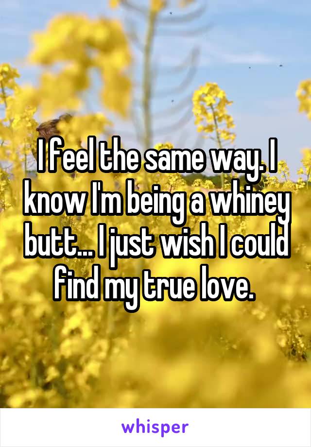 I feel the same way. I know I'm being a whiney butt... I just wish I could find my true love. 