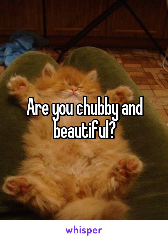 Are you chubby and beautiful?