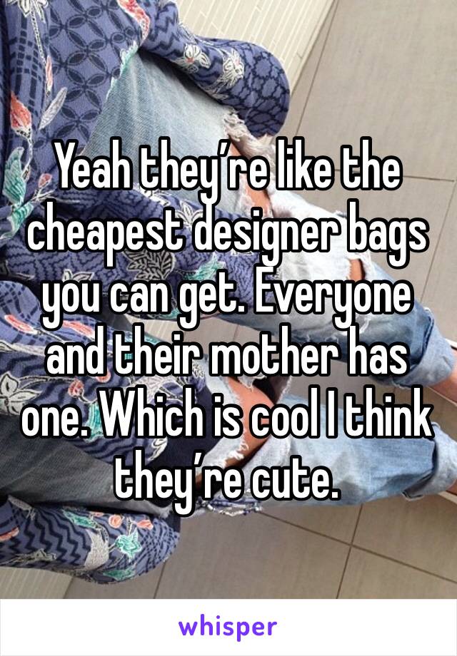 Yeah they’re like the cheapest designer bags you can get. Everyone and their mother has one. Which is cool I think they’re cute.