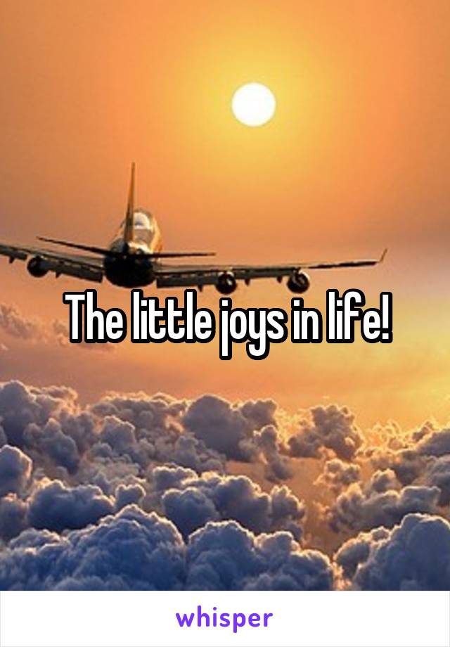 The little joys in life!