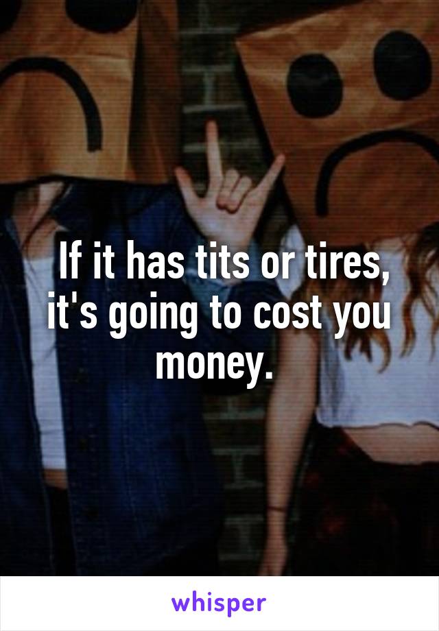  If it has tits or tires, it's going to cost you money. 