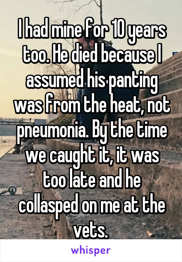 I had mine for 10 years too. He died because I assumed his panting was from the heat, not pneumonia. By the time we caught it, it was too late and he collasped on me at the vets. 