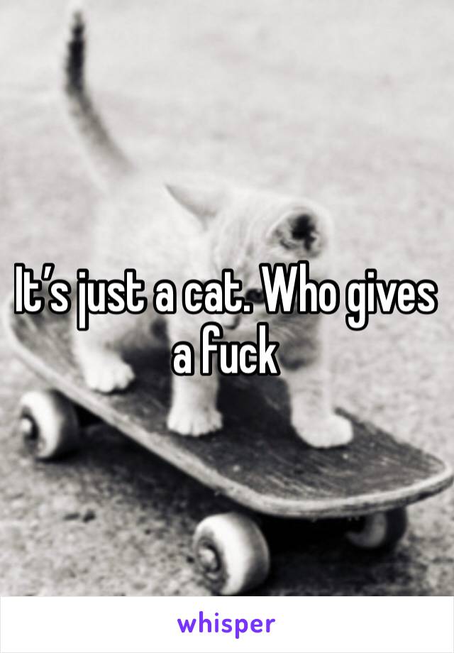 It’s just a cat. Who gives a fuck