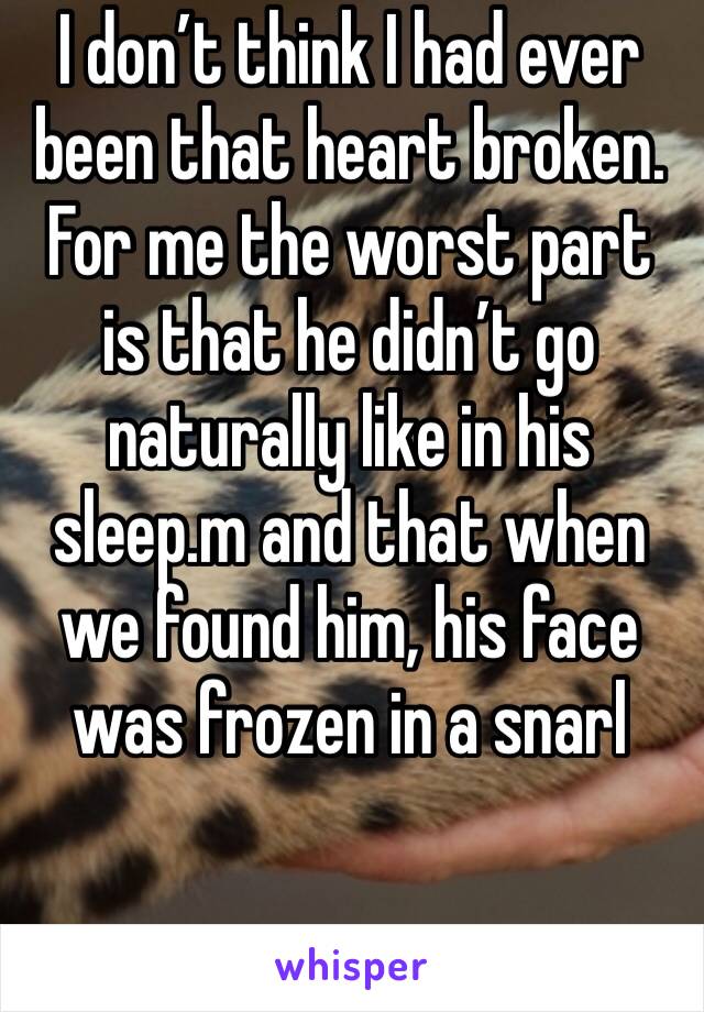I don’t think I had ever been that heart broken. For me the worst part is that he didn’t go naturally like in his sleep.m and that when we found him, his face was frozen in a snarl