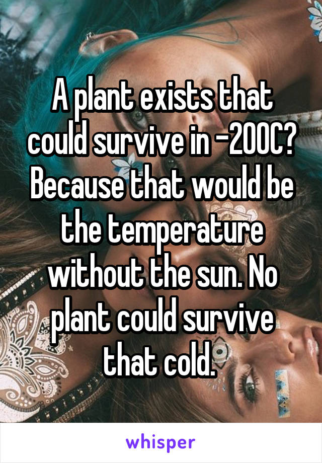 A plant exists that could survive in -200C? Because that would be the temperature without the sun. No plant could survive that cold. 