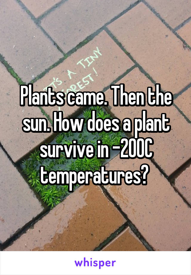 Plants came. Then the sun. How does a plant survive in -200C temperatures? 