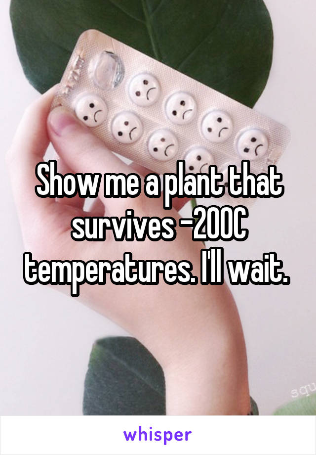 Show me a plant that survives -200C temperatures. I'll wait. 
