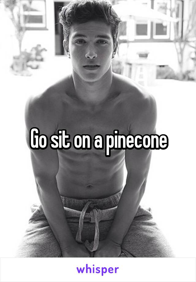 Go sit on a pinecone