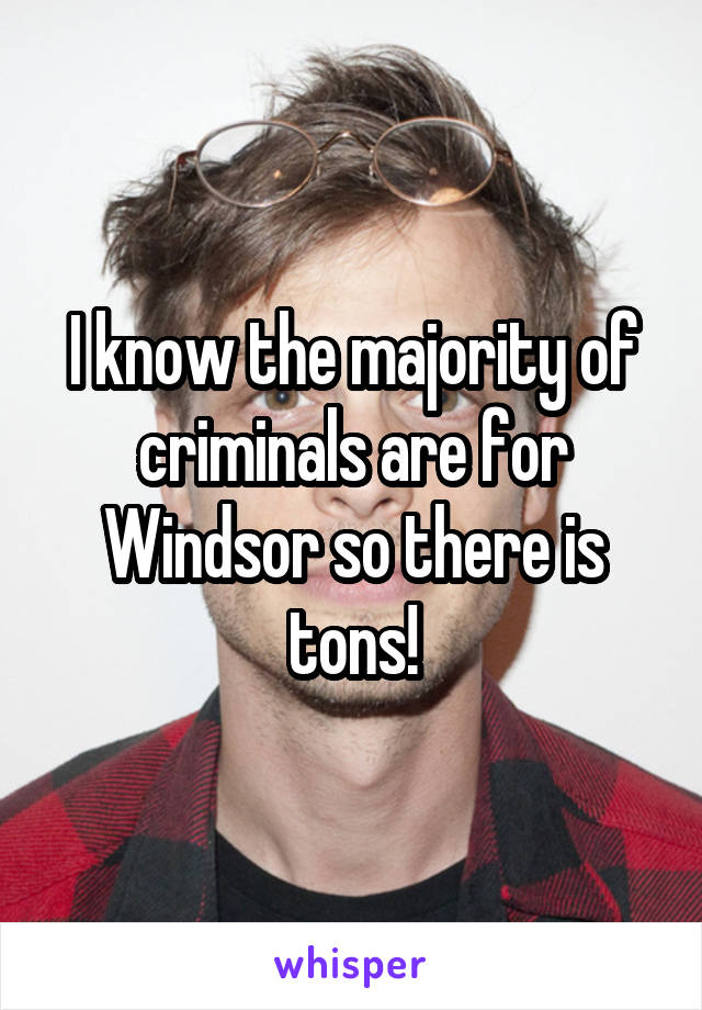 I know the majority of criminals are for Windsor so there is tons!
