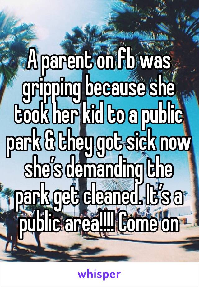 A parent on fb was gripping because she took her kid to a public park & they got sick now she’s demanding the park get cleaned. It’s a public area!!!! Come on 