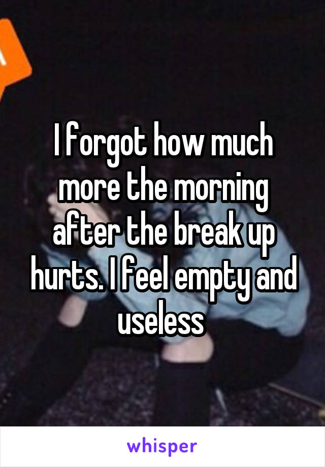 I forgot how much more the morning after the break up hurts. I feel empty and useless 