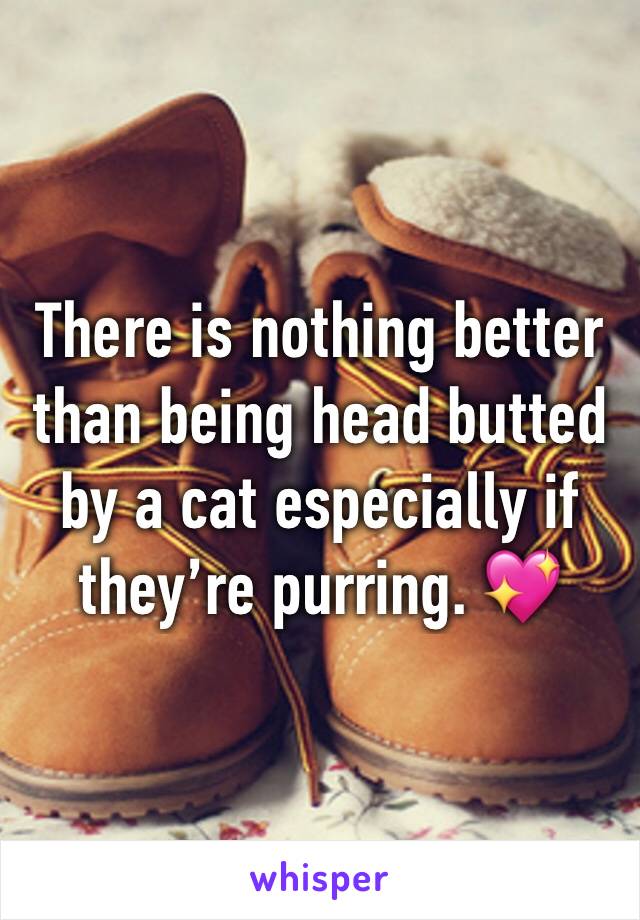 There is nothing better than being head butted by a cat especially if they’re purring. 💖