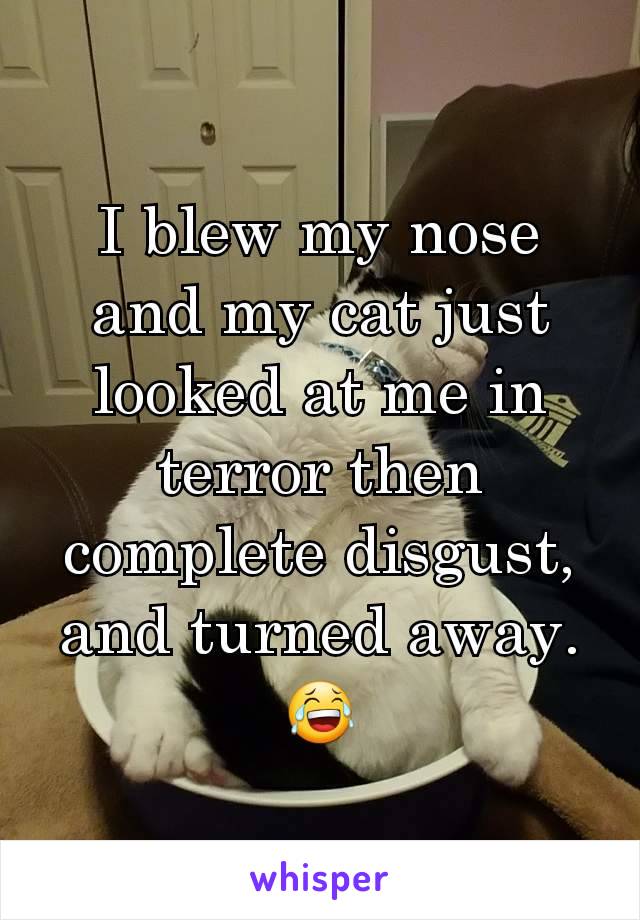 I blew my nose and my cat just looked at me in terror then complete disgust, and turned away. 😂
