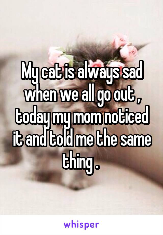 My cat is always sad when we all go out , today my mom noticed it and told me the same thing . 