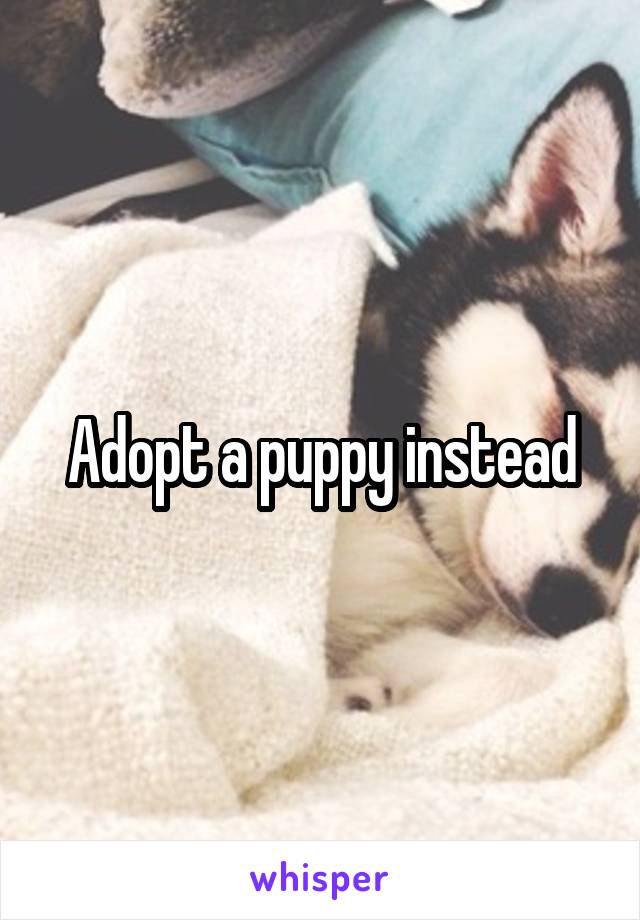 Adopt a puppy instead