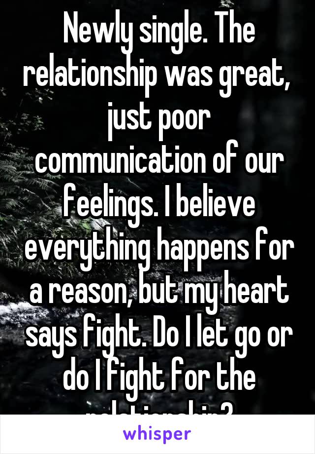 Newly single. The relationship was great,  just poor communication of our feelings. I believe everything happens for a reason, but my heart says fight. Do I let go or do I fight for the relationship?