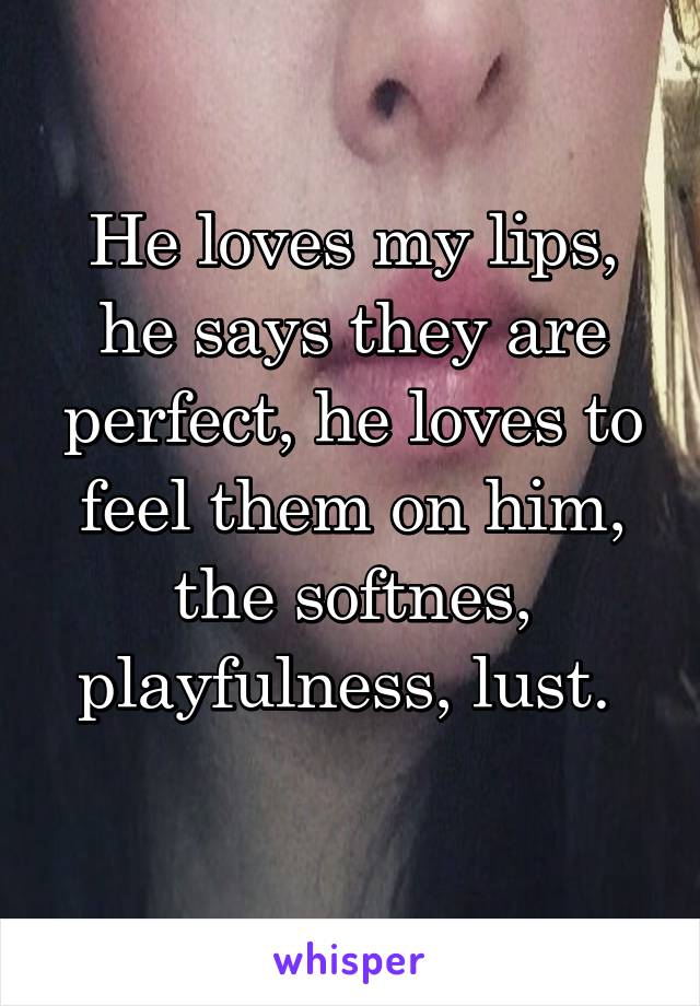 He loves my lips, he says they are perfect, he loves to feel them on him, the softnes, playfulness, lust. 
