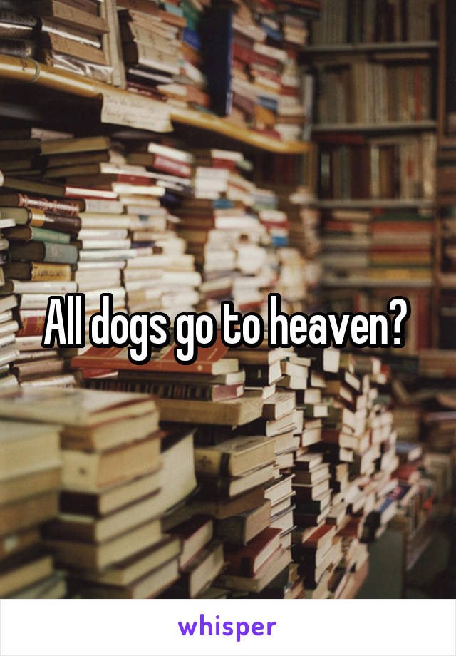 All dogs go to heaven? 