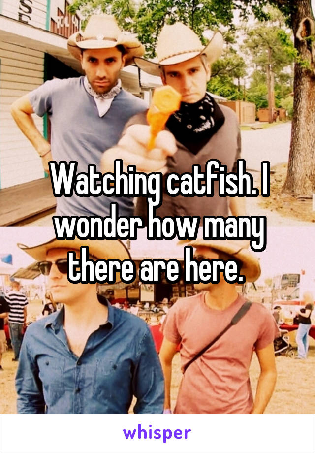 Watching catfish. I wonder how many there are here. 