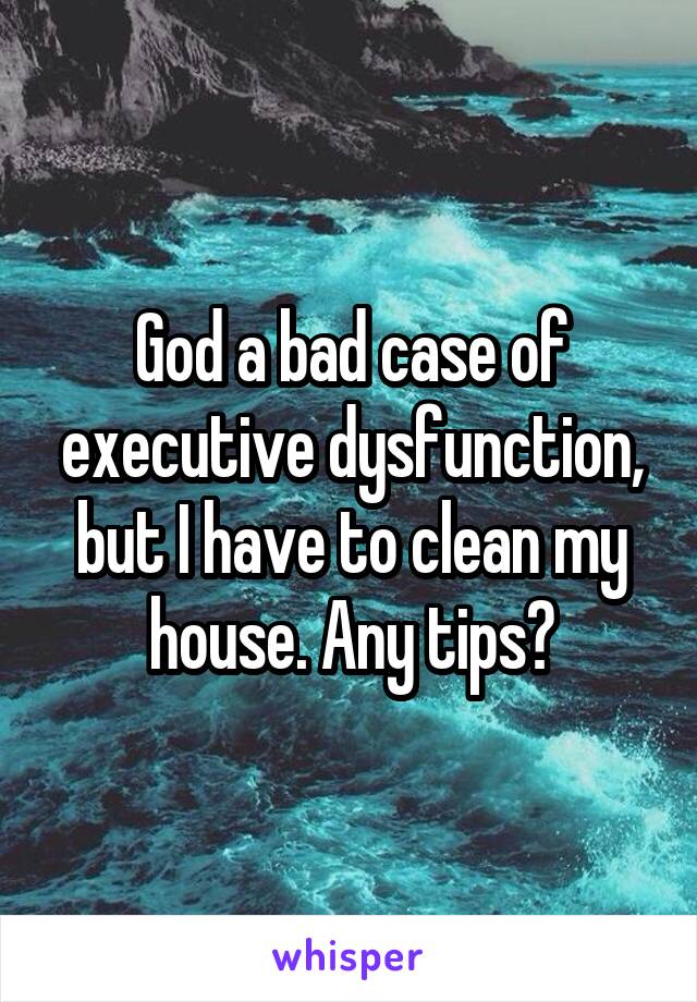 God a bad case of executive dysfunction, but I have to clean my house. Any tips?