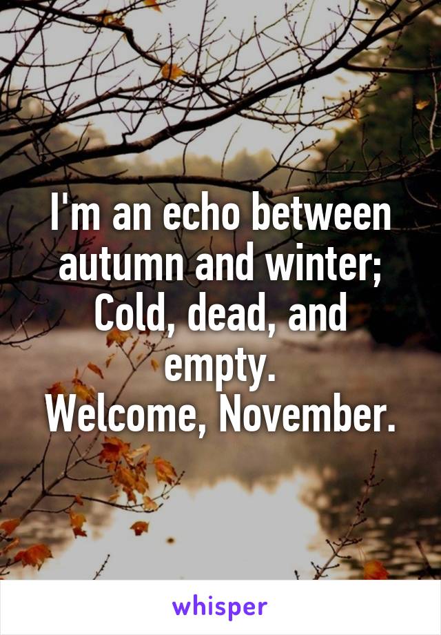 I'm an echo between autumn and winter;
Cold, dead, and empty.
Welcome, November.