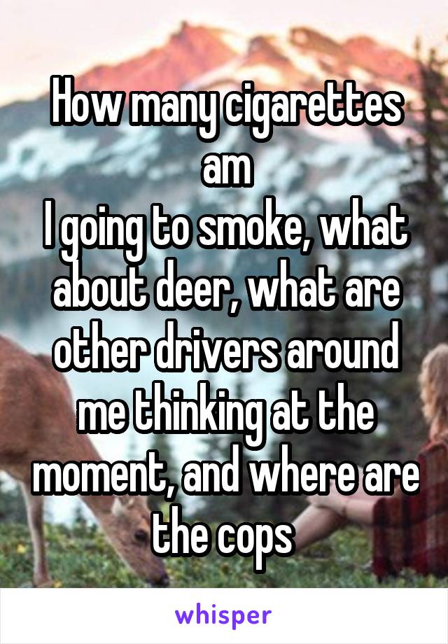 How many cigarettes am
I going to smoke, what about deer, what are other drivers around me thinking at the moment, and where are the cops 