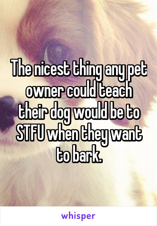 The nicest thing any pet owner could teach their dog would be to STFU when they want to bark.
