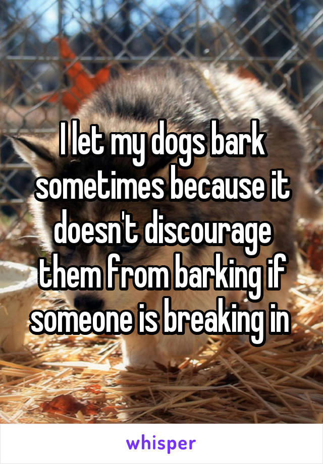 I let my dogs bark sometimes because it doesn't discourage them from barking if someone is breaking in 