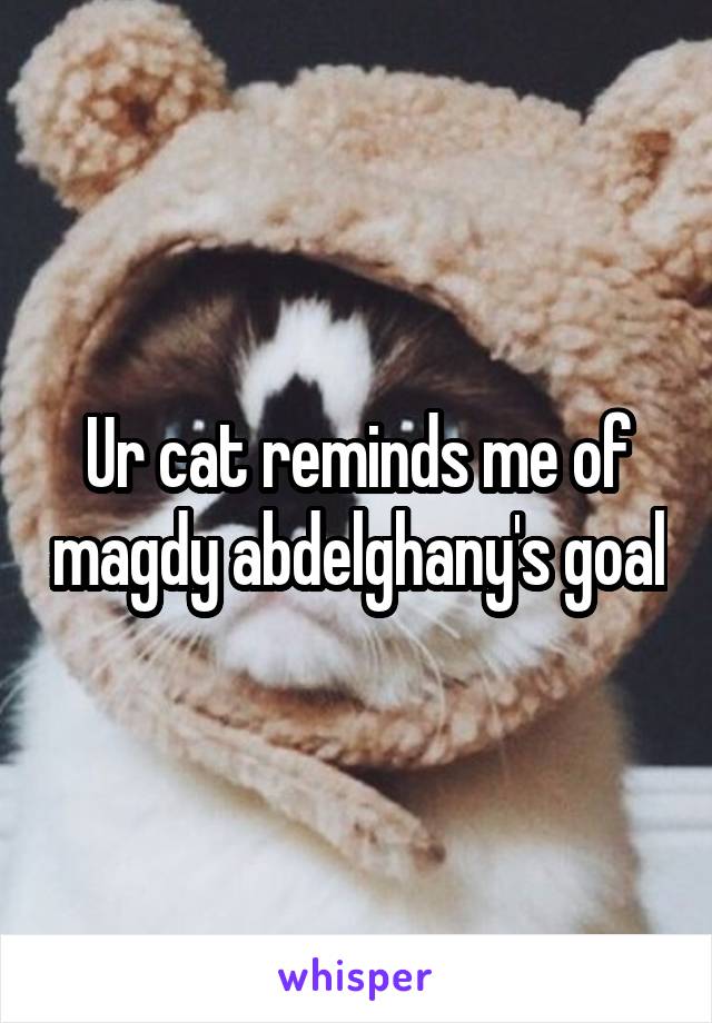 Ur cat reminds me of magdy abdelghany's goal